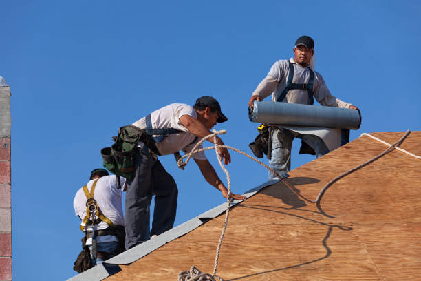 Best Roof Gutter Cleaning  in Burlington, KS