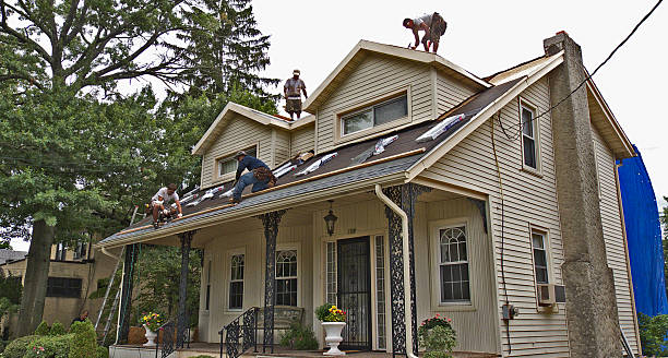 Best Flat Roof Repair Services  in Burlington, KS
